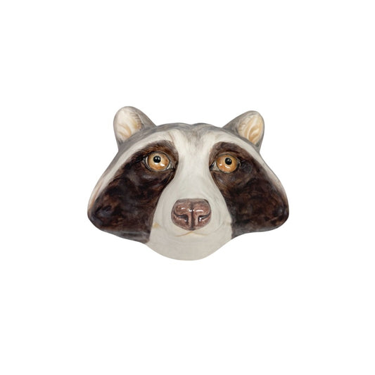 Raccoon 9