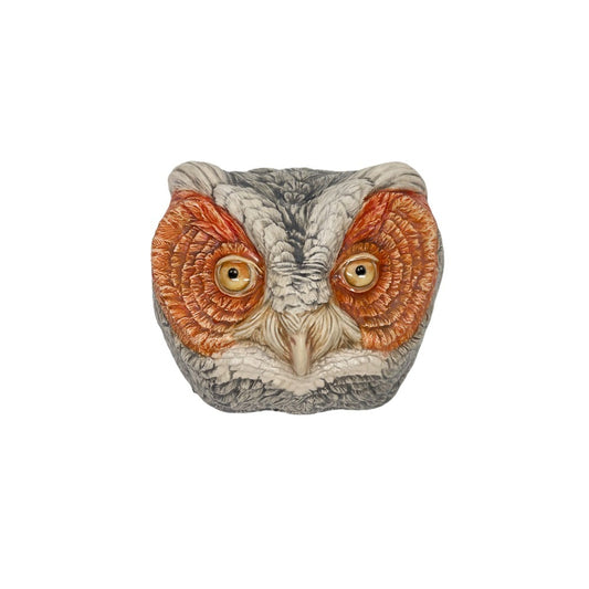 Flammulated Owl 33