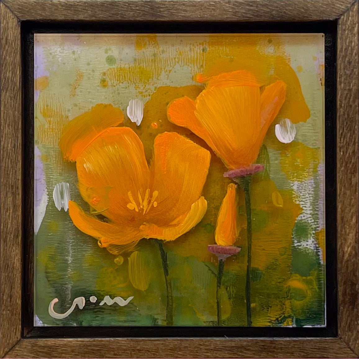 Mini California Poppies