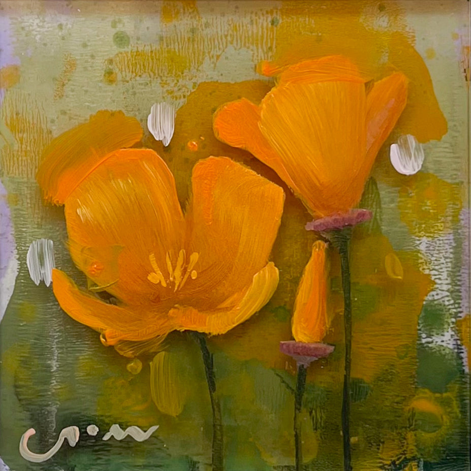 Mini California Poppies