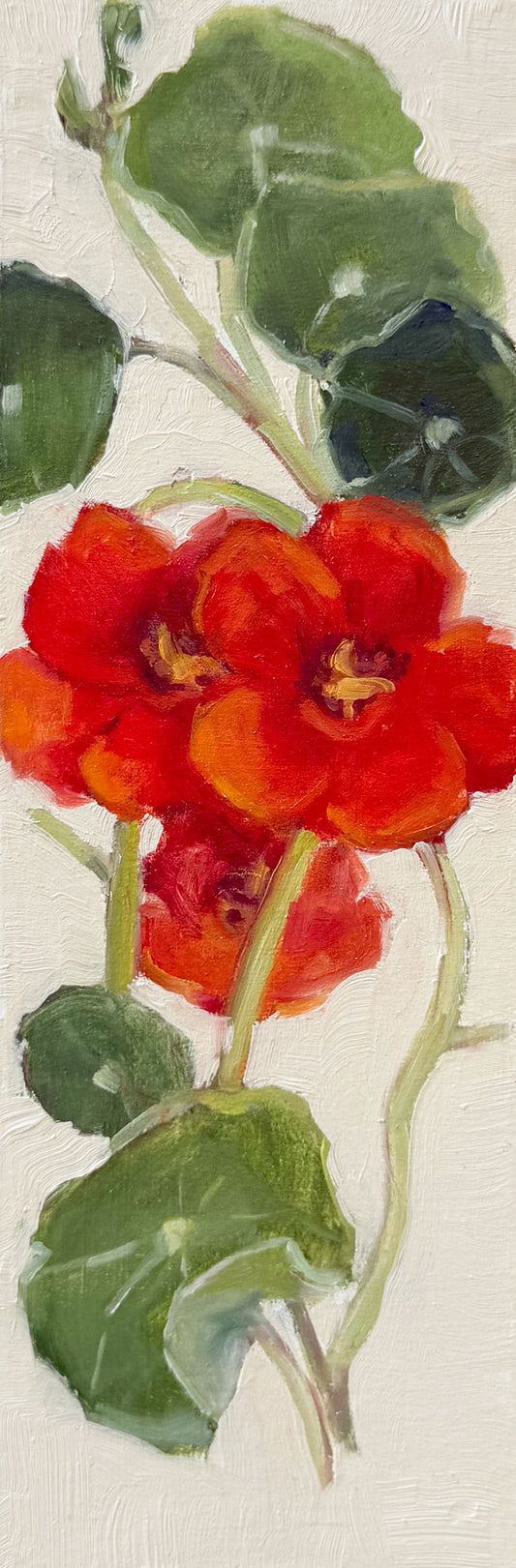 Nasturtiums For You