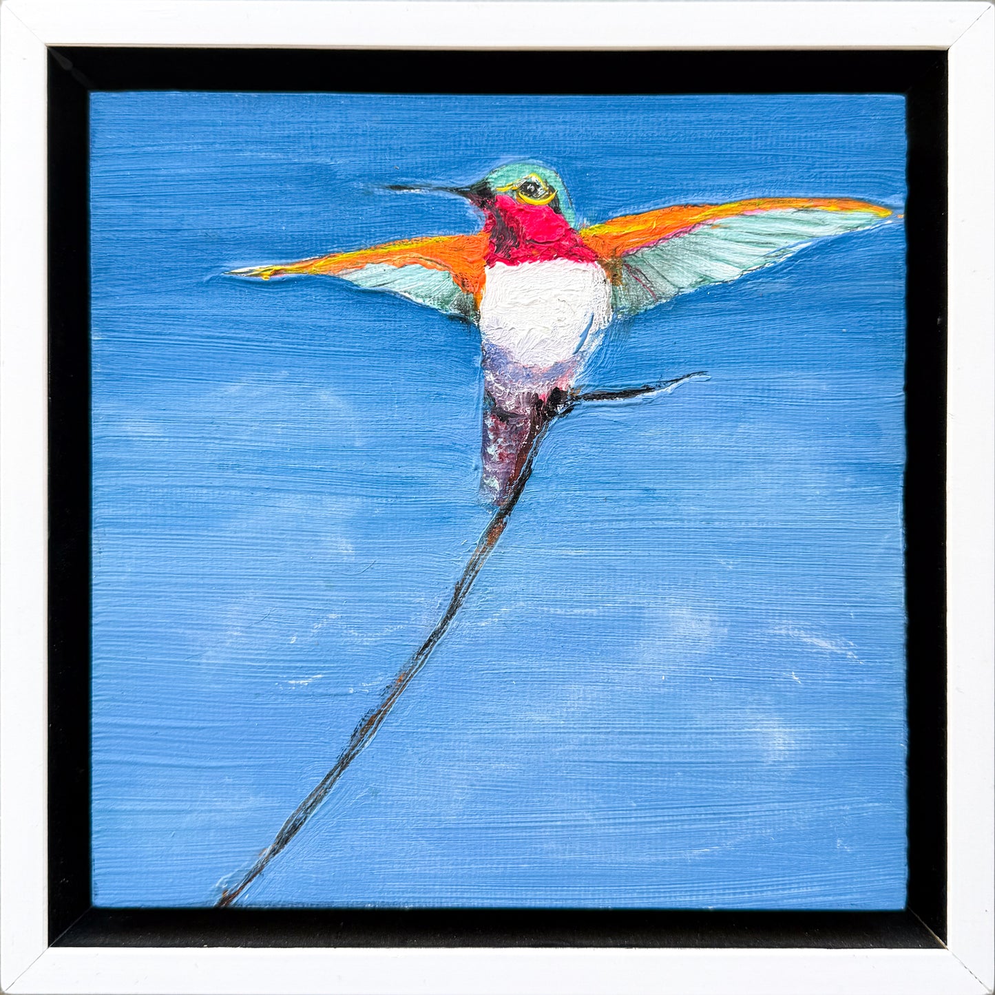 Hummingbird #7