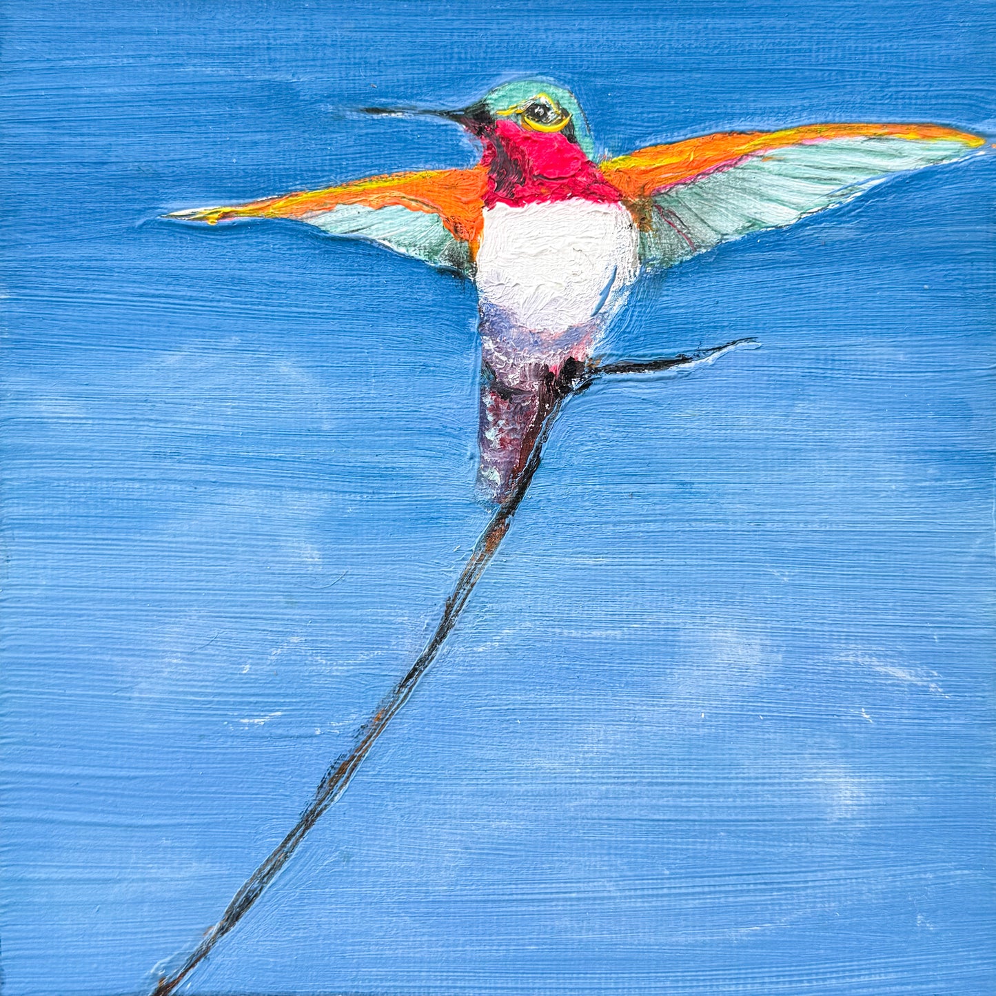 Hummingbird #7