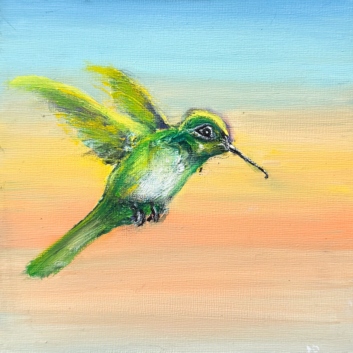 Hummingbird #12