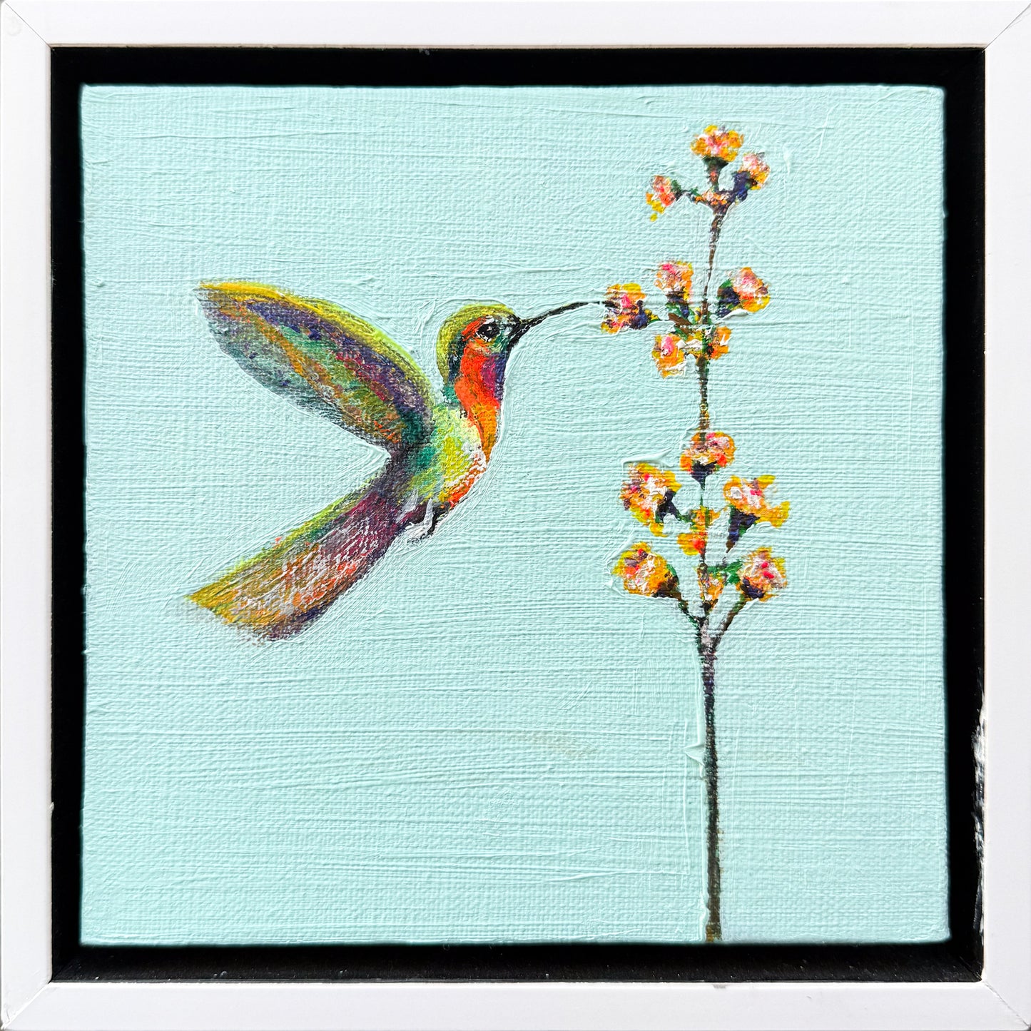 Hummingbird #5