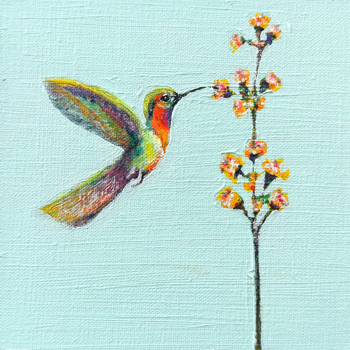 Hummingbird #5