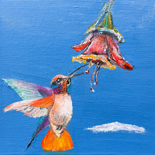 Hummingbird #19