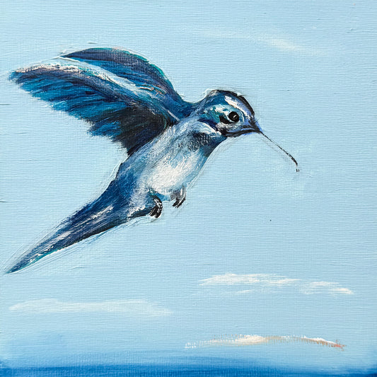 Hummingbird #21