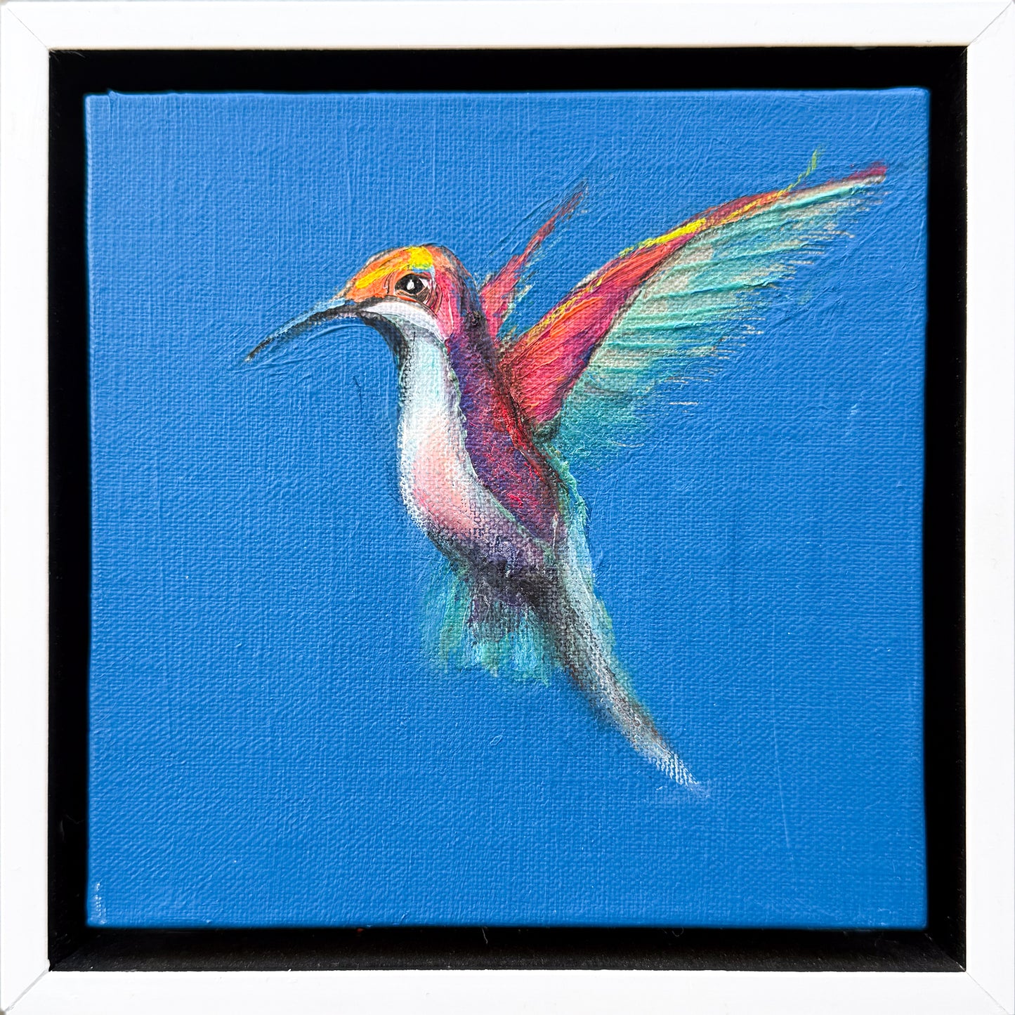 Hummingbird #9