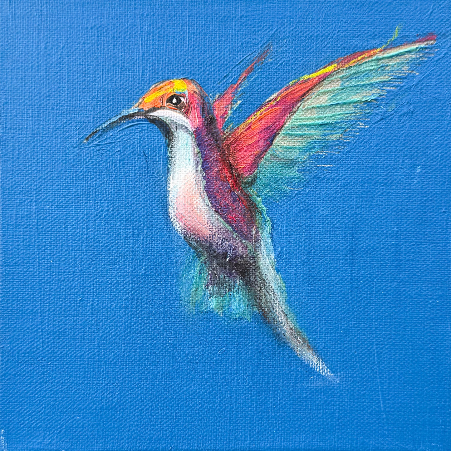 Hummingbird #9