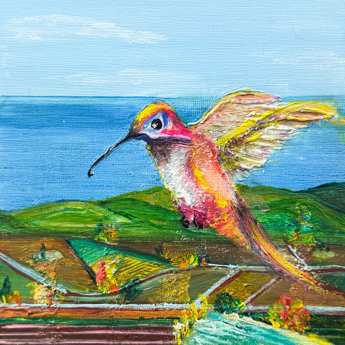 Hummingbird #2