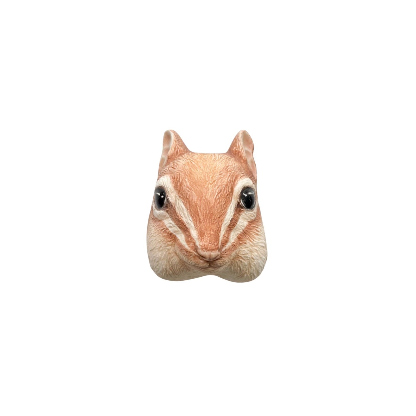 Chipmunk 63