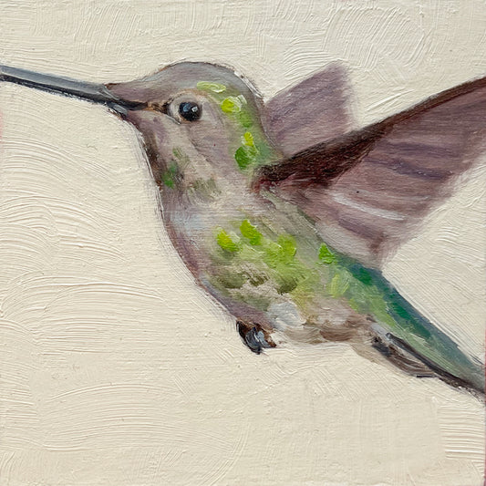 Hummingbird
