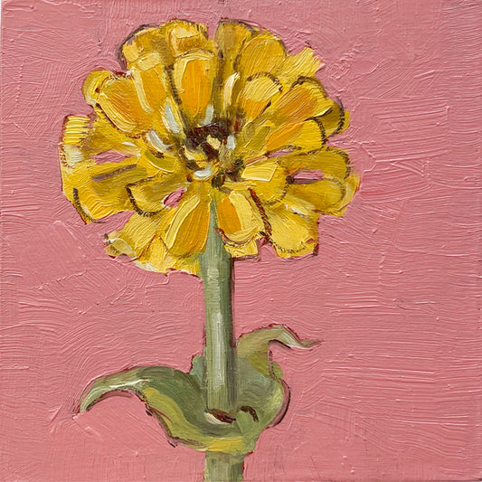 Little Zinnia II