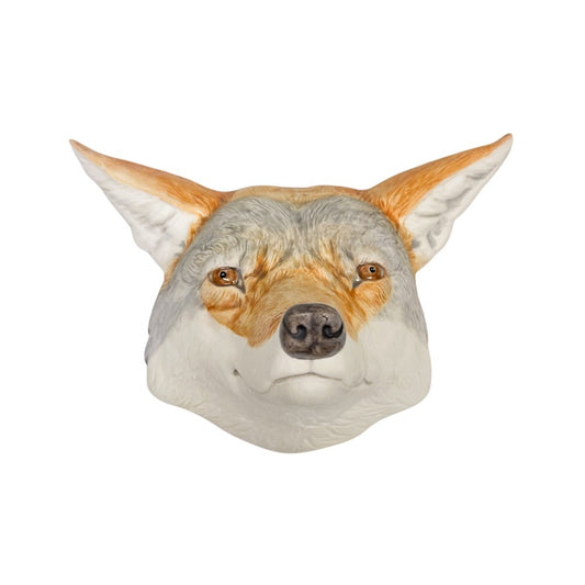 Coyote 26