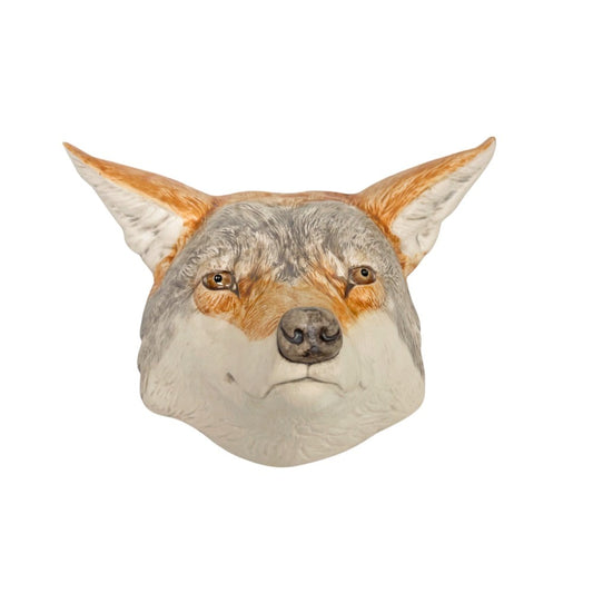 Coyote 25