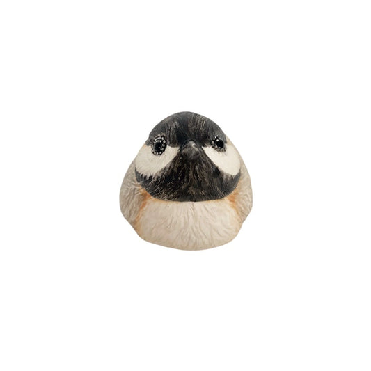 Chickadee