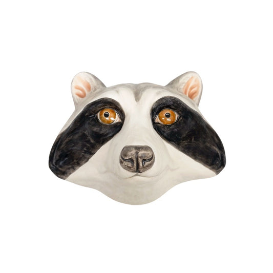 Raccoon 14