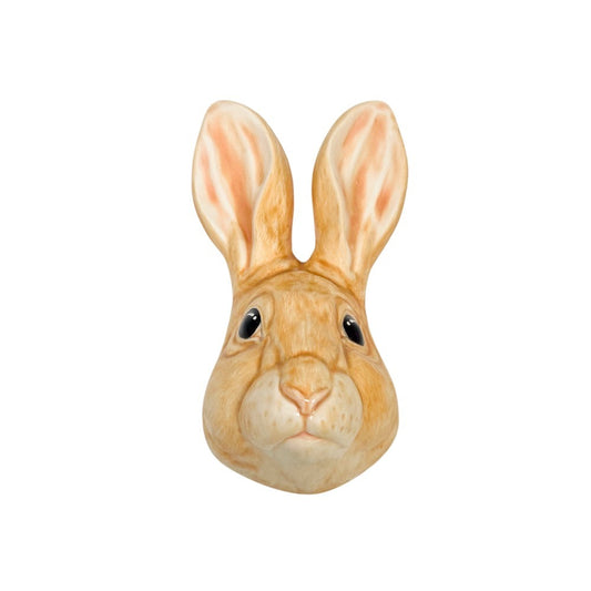 Rabbit 21