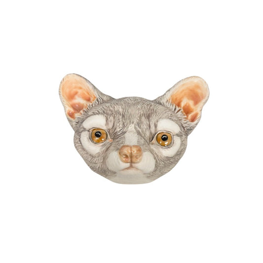 Ringtail 3