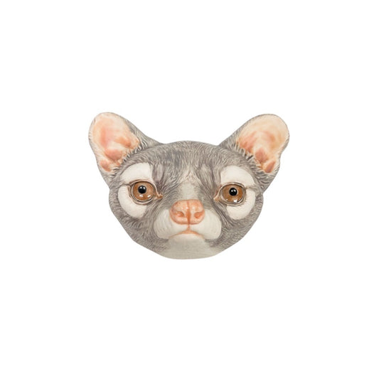 Ringtail 4