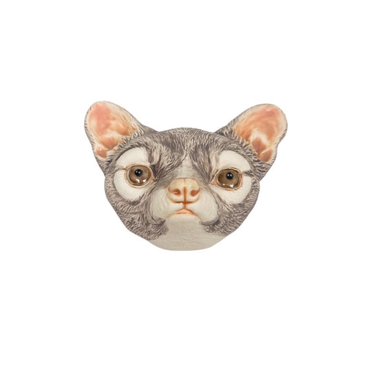 Ringtail 5