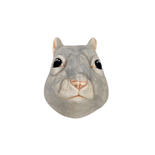 Squirrel 18