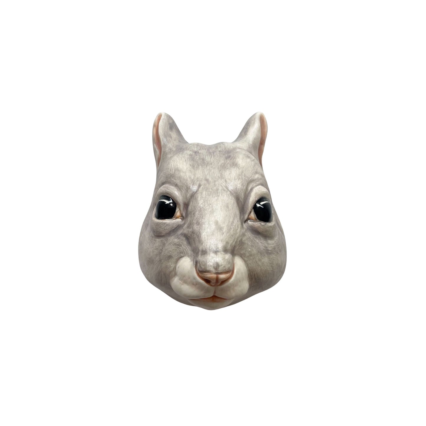 Squirrel 36