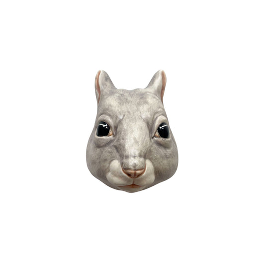 Squirrel 36