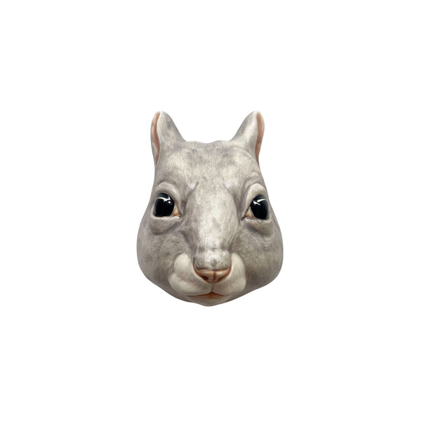 Squirrel 36