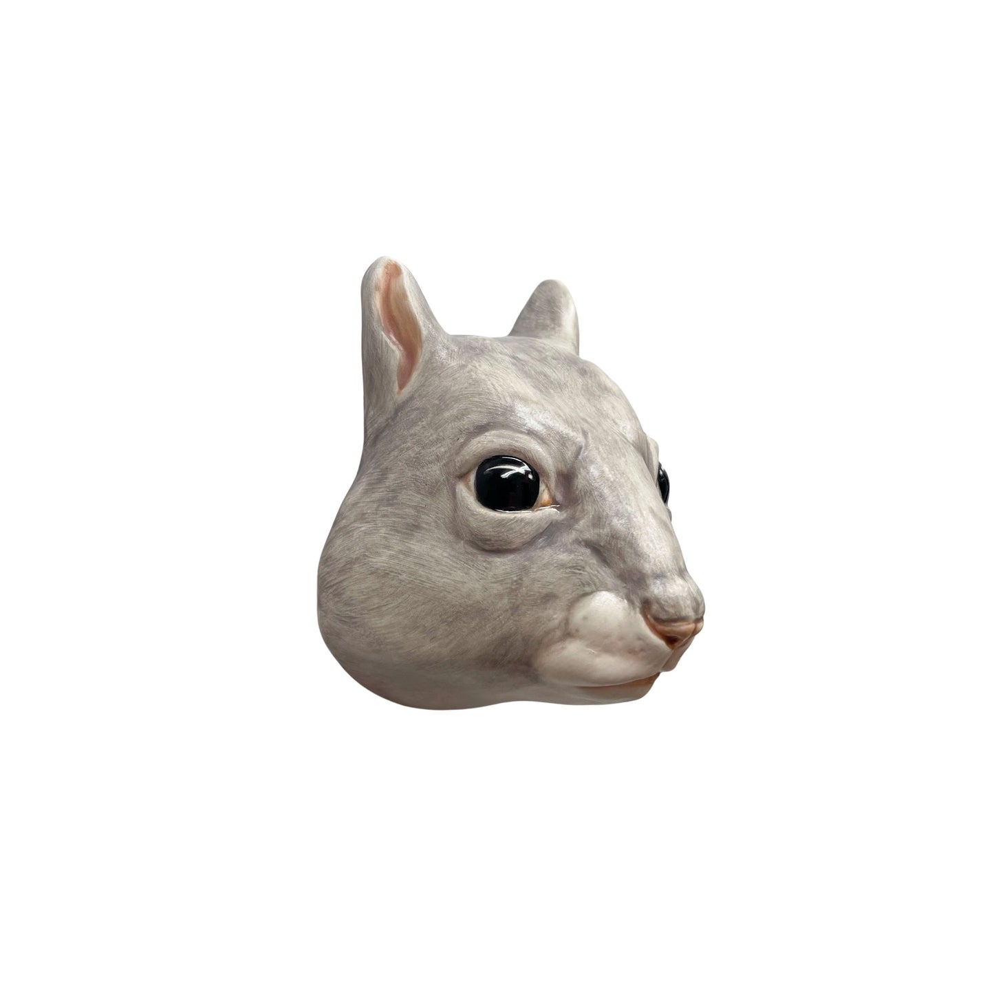 Squirrel 36