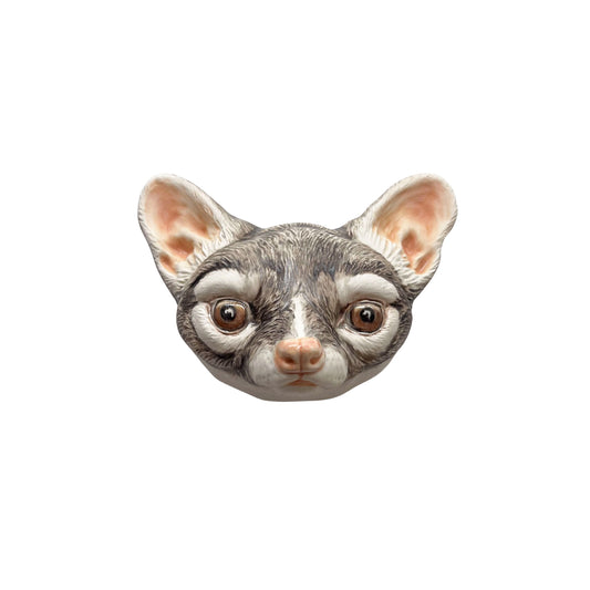 Ringtail 9