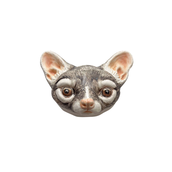 Ringtail 9