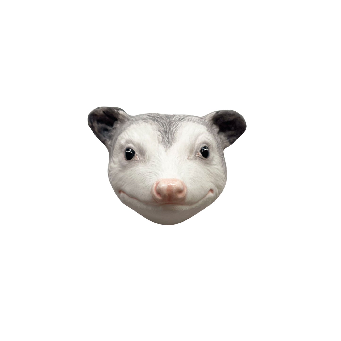 Opossum 62