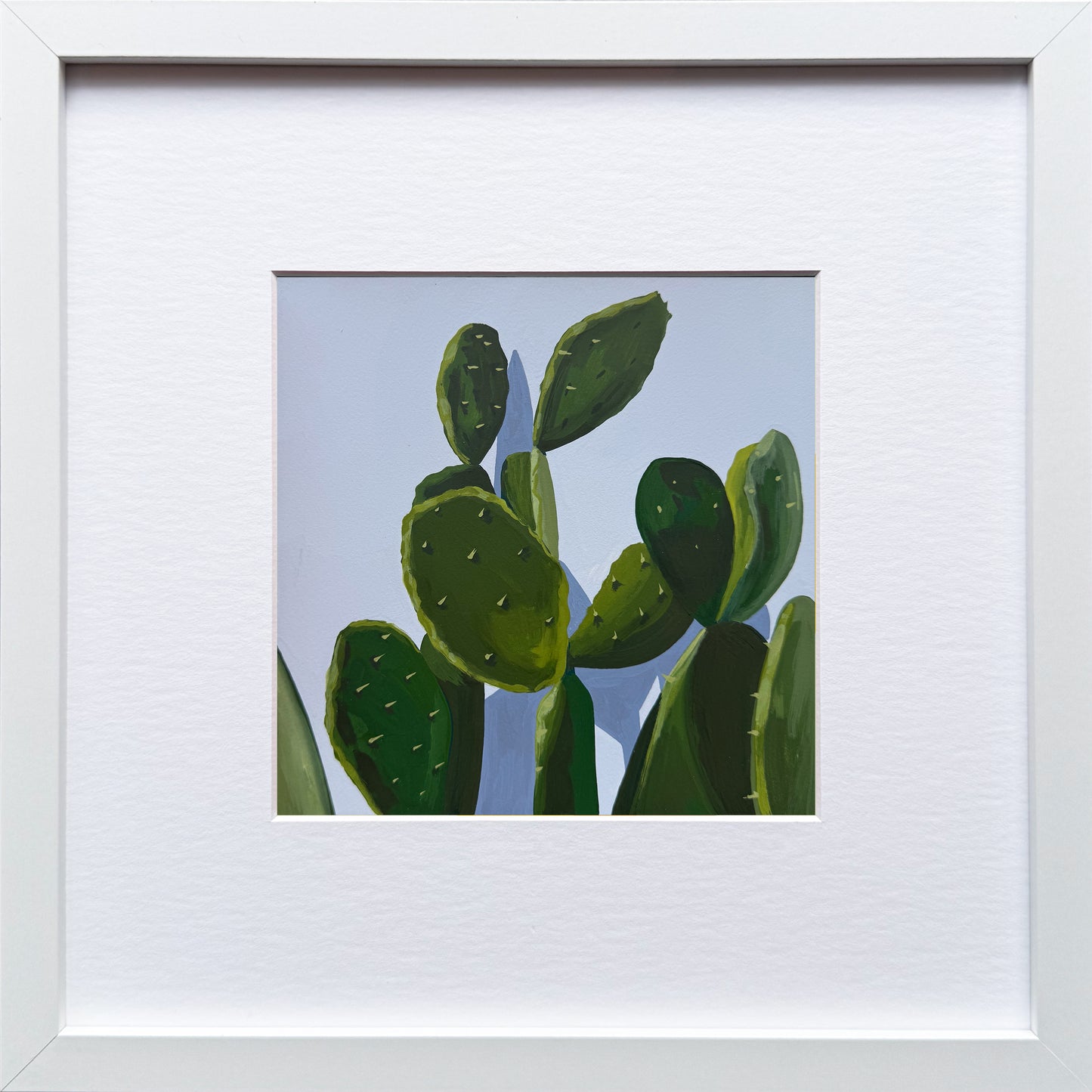 Cacti