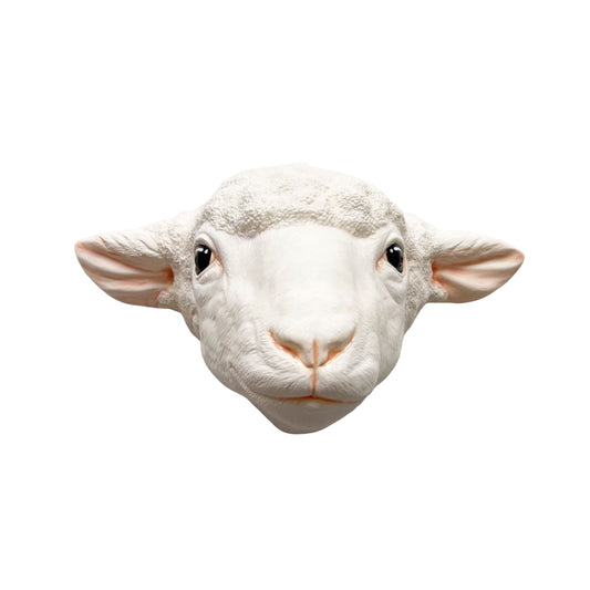 Sheep 6