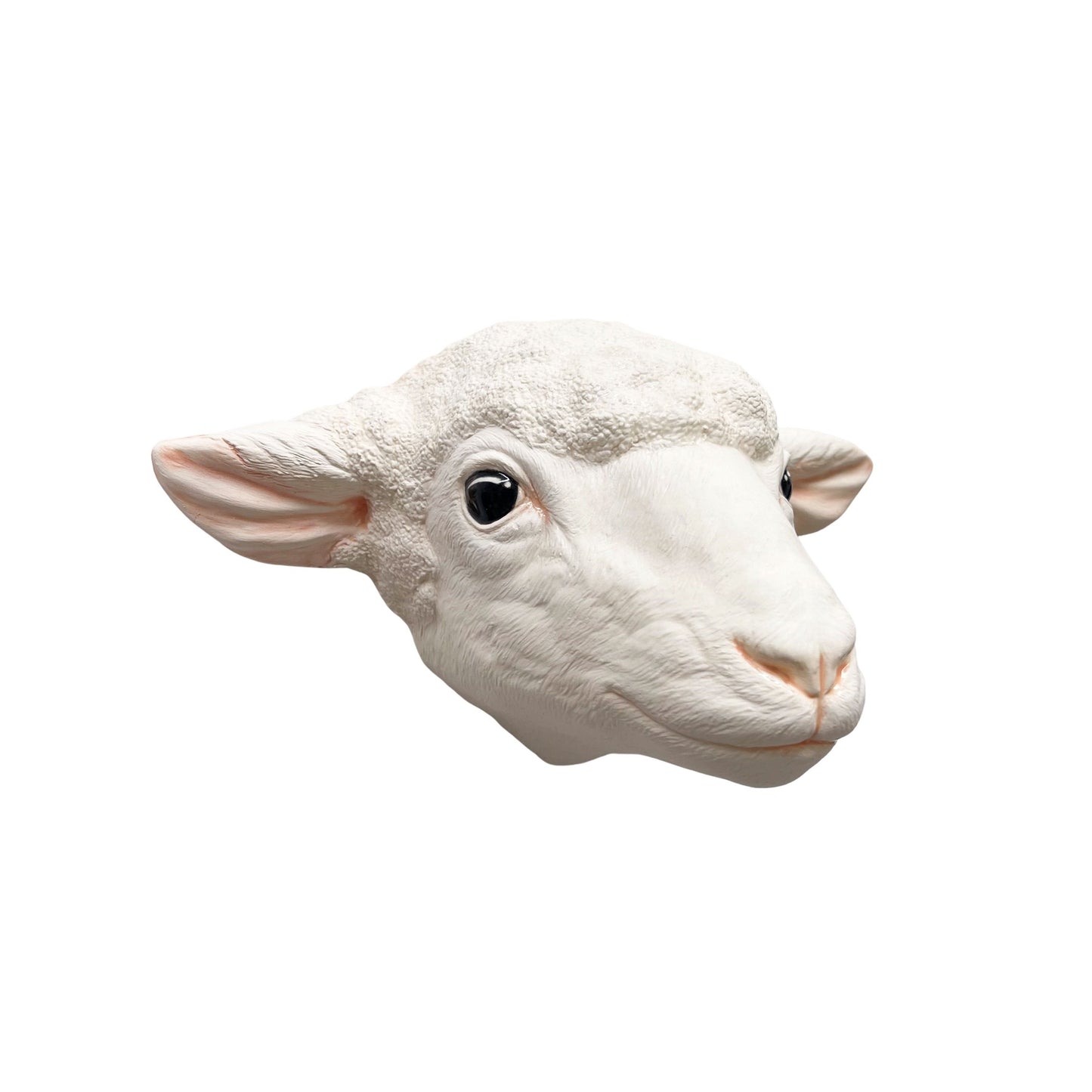 Sheep 6