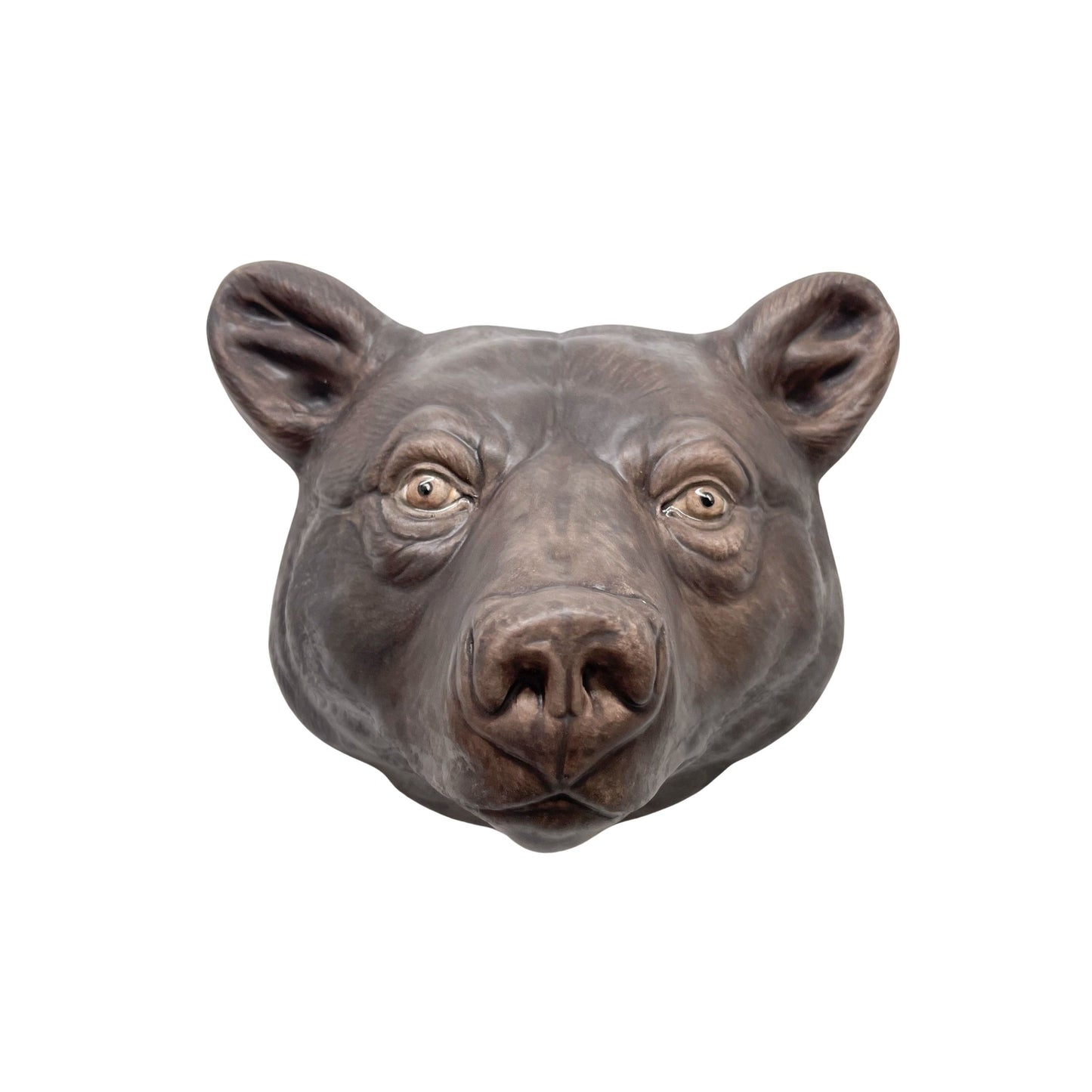 Bear 10