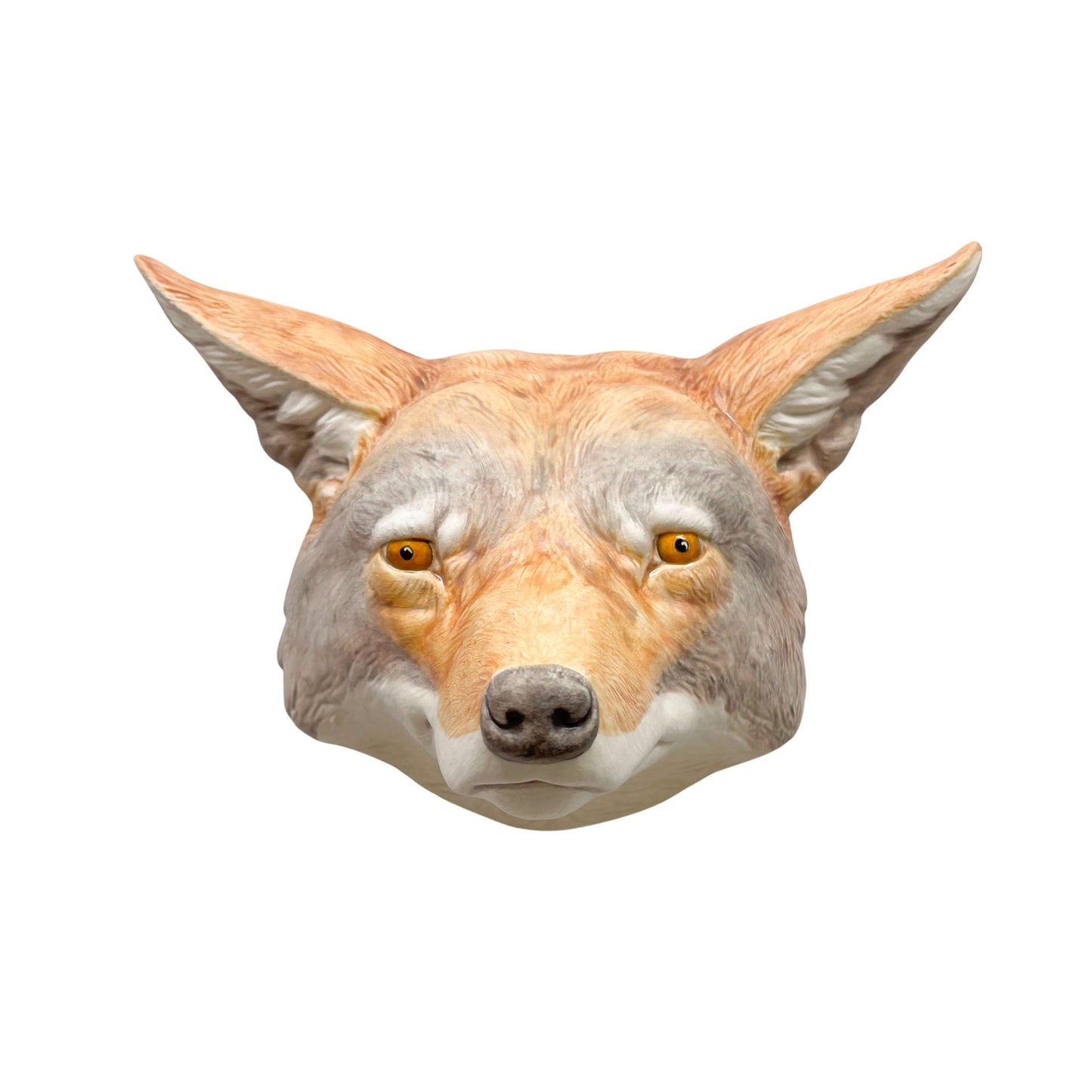 Coyote 18