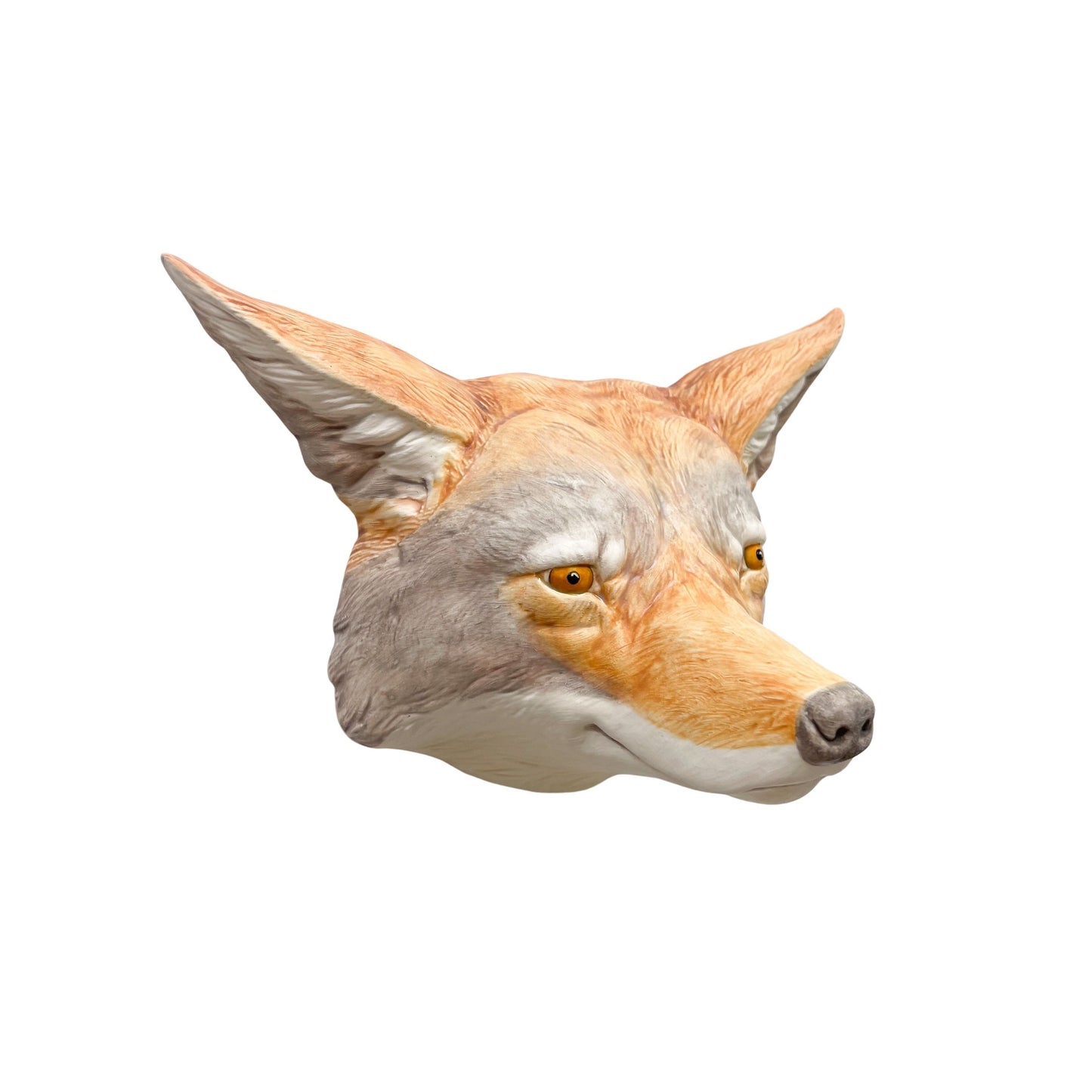 Coyote 18