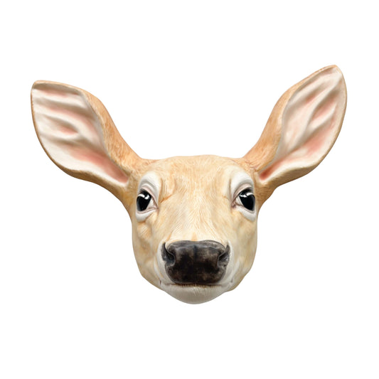 Doe 2