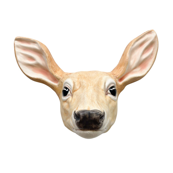 Doe 2