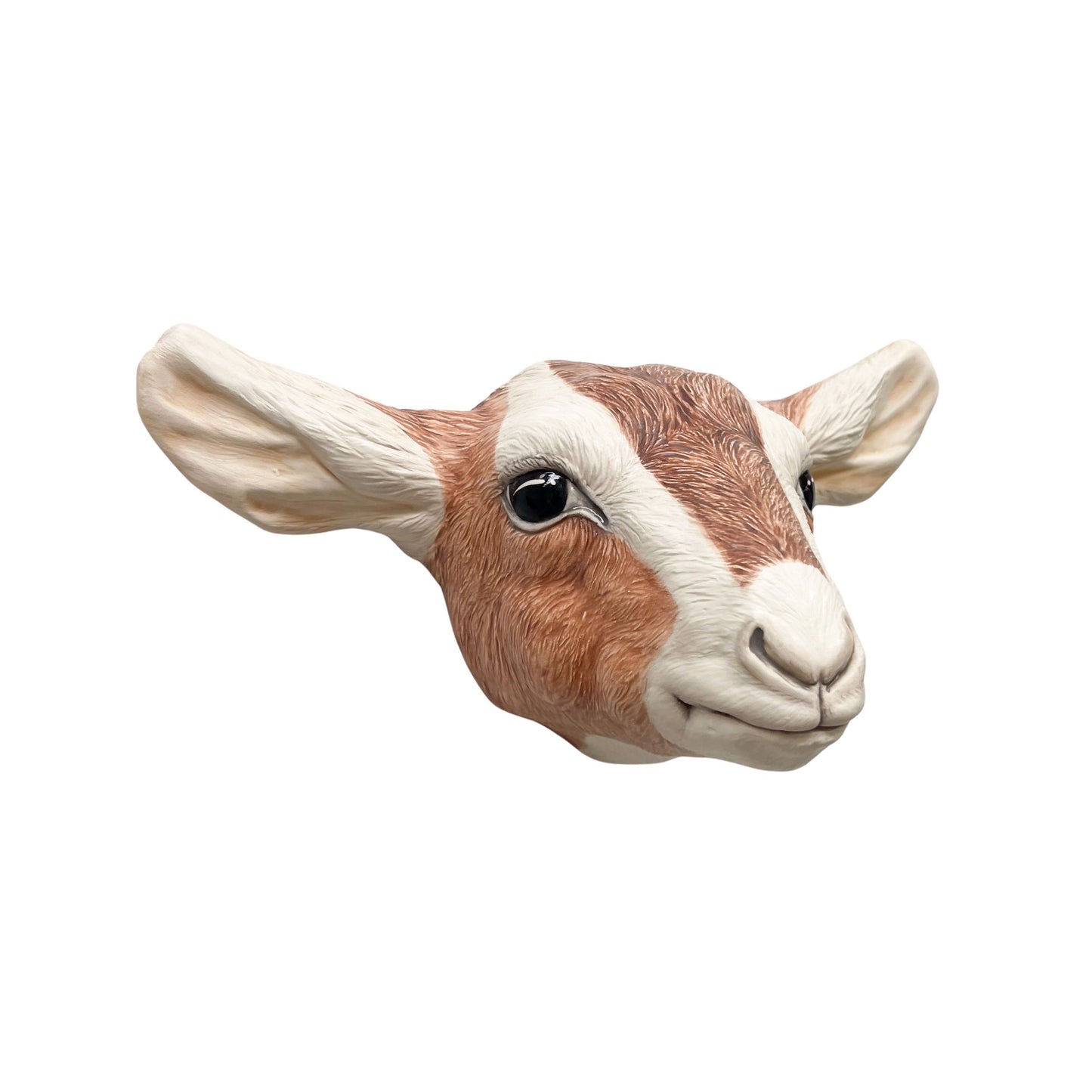 Goat 16