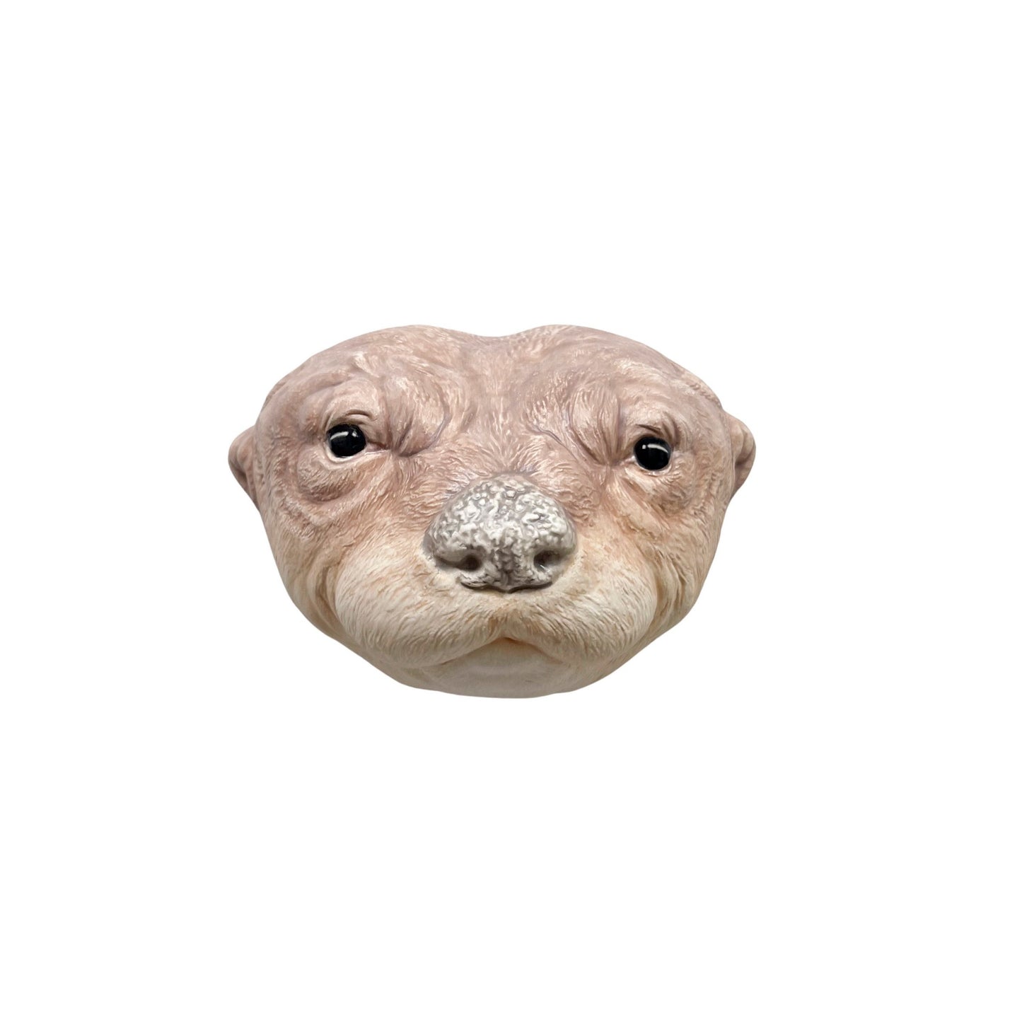 Otter 16