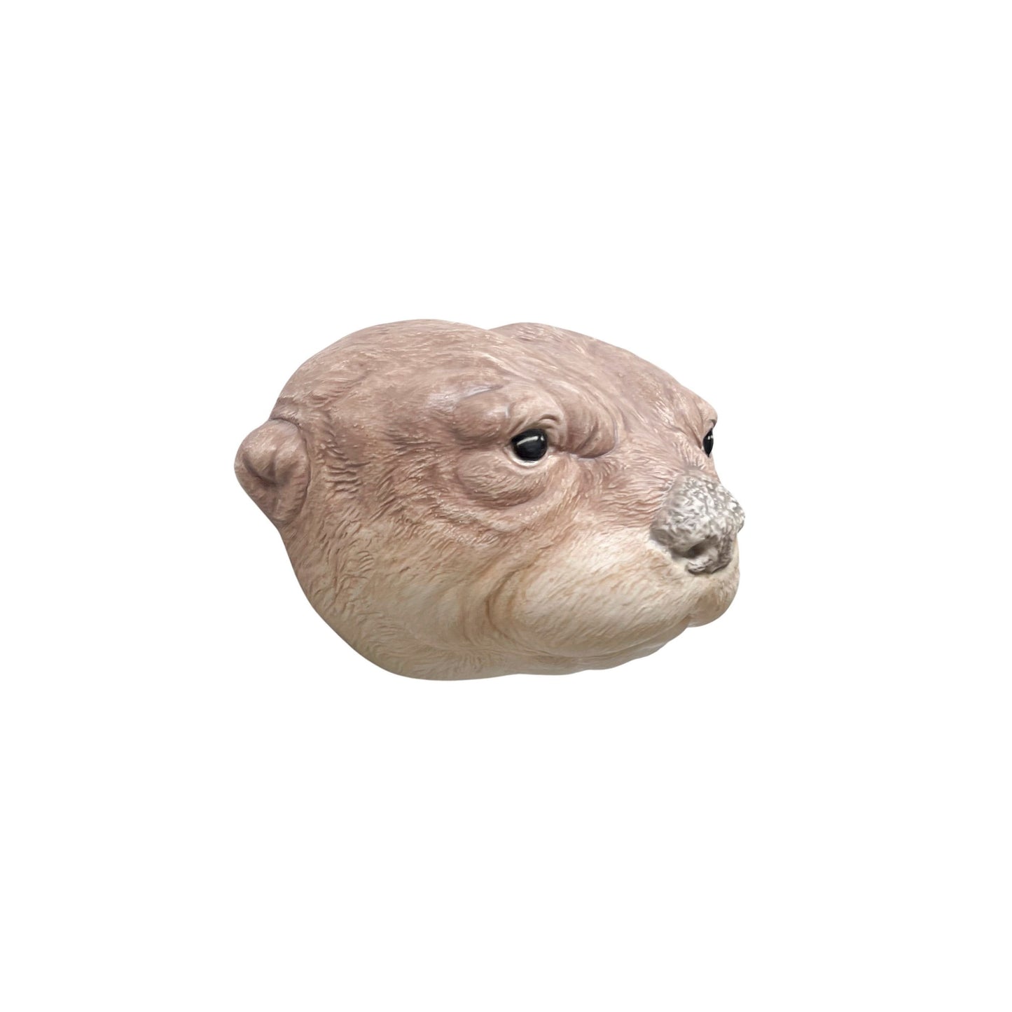 Otter 16