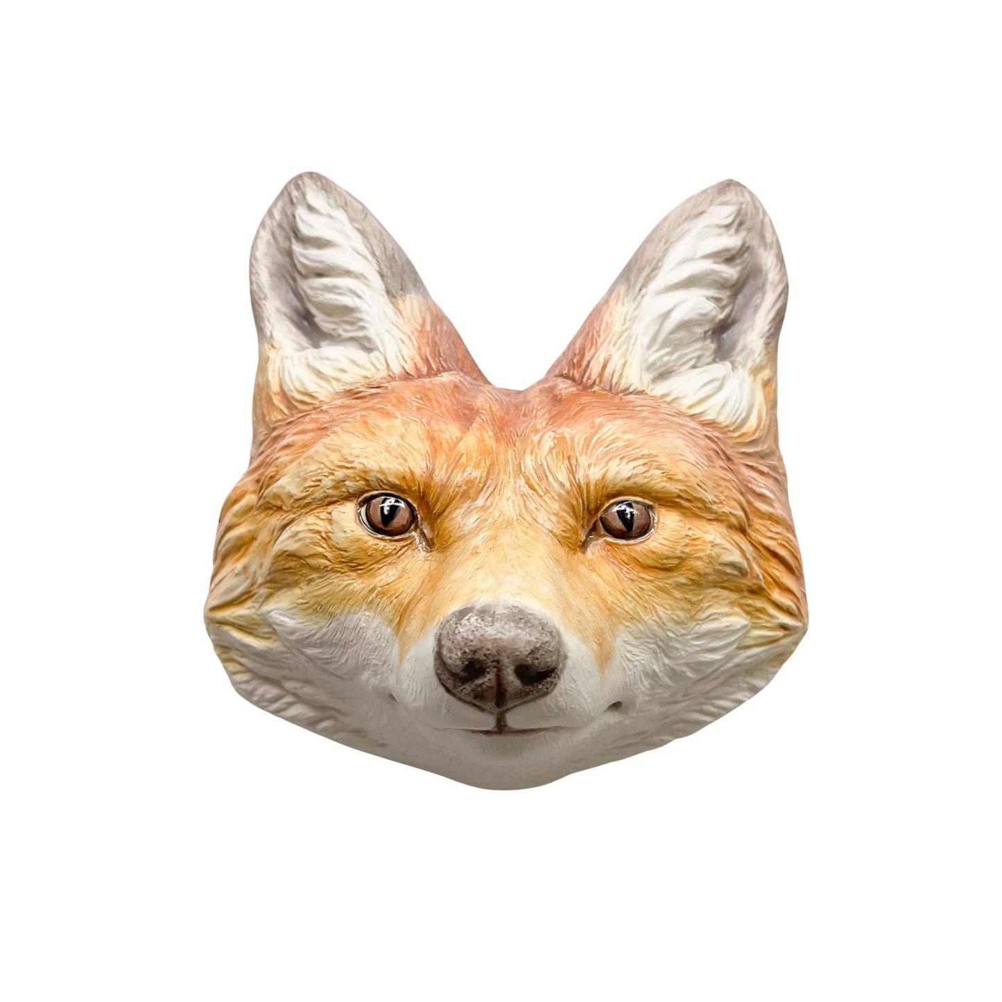 Red Fox 1