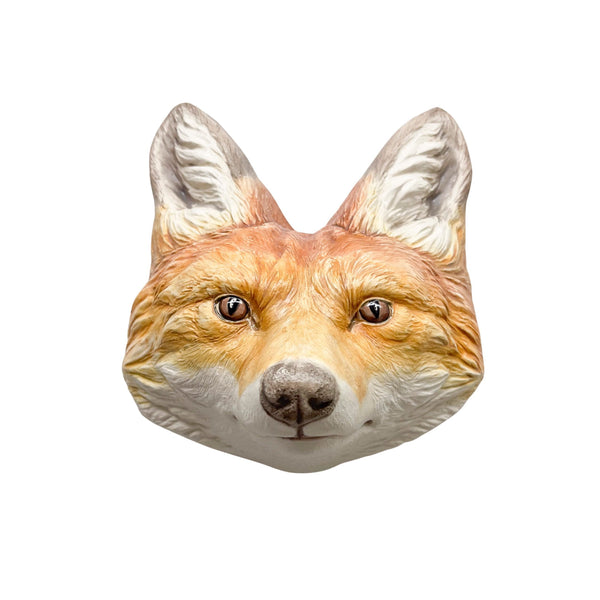 Red Fox 1