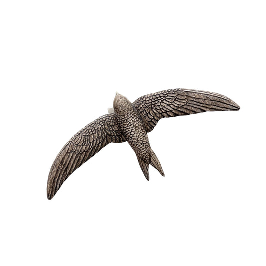 Swallow 14