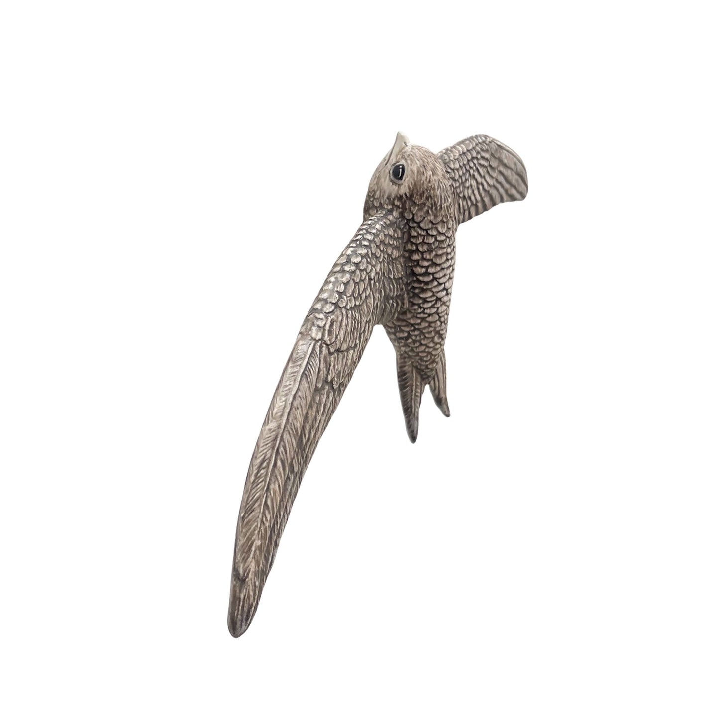 Swallow 14