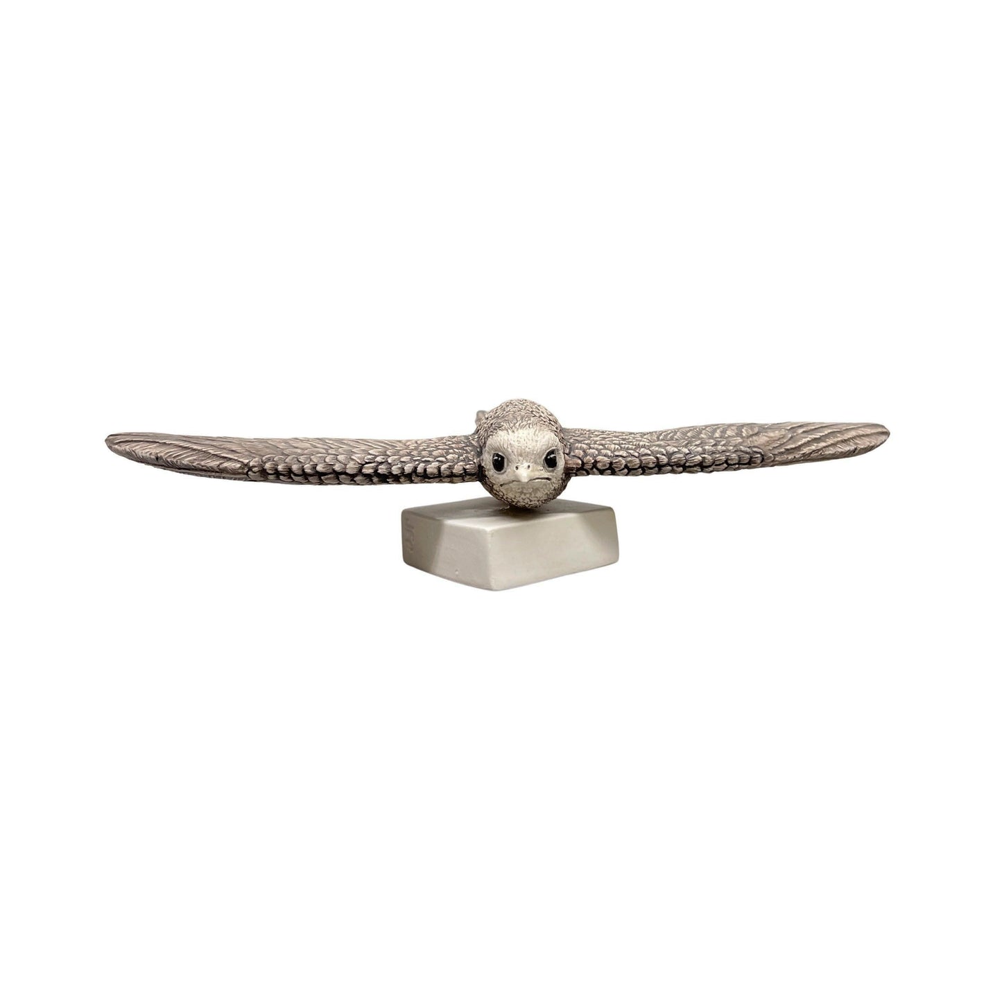 Swallow 13